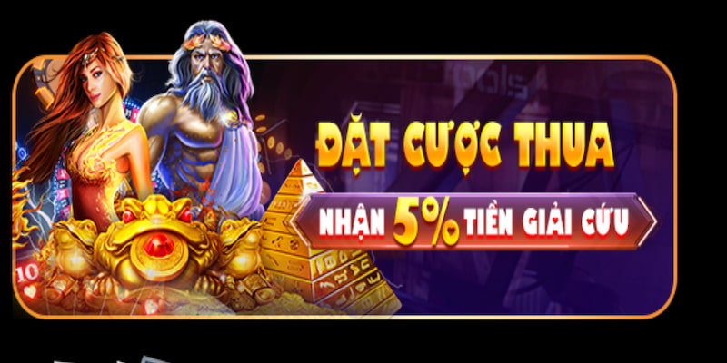 Tham gia cá cược thua nhận ngay 5% tiền giải cứu