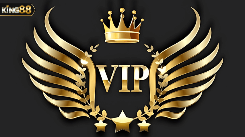 thành viên vip king88